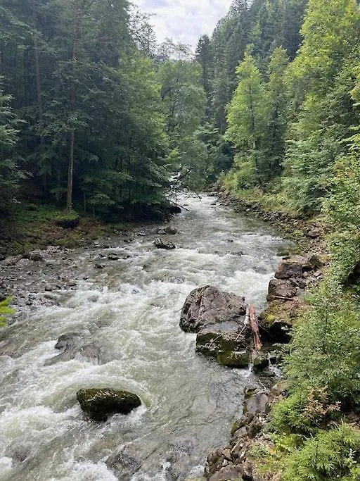 公寓 Fewo Allgaeu Chalet Mit Schwimmbad Und Sauna 奥伯斯特多夫